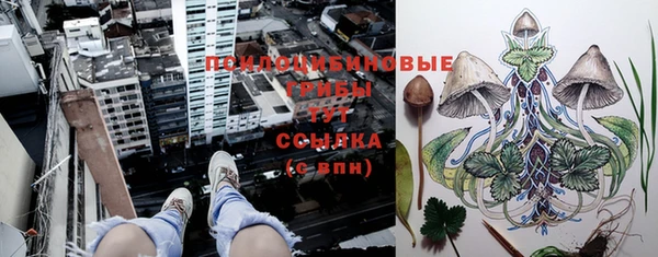 прущая мука Семёнов