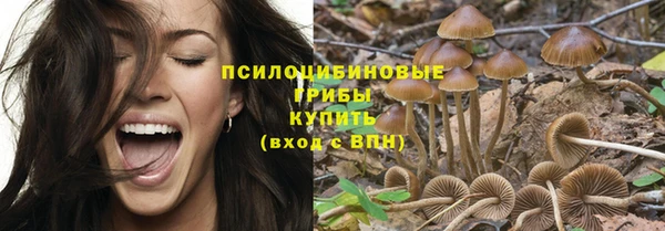 дживик Абинск